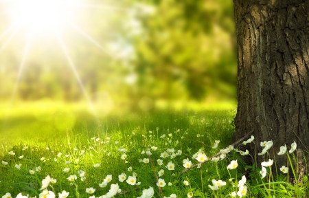 周末公园漫步记录